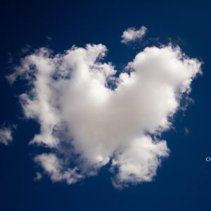 NOVEL·LA FICCIÓ: EL CIELO NO ME INTERESA