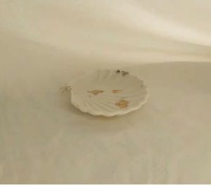 bandeja-shell-300x263